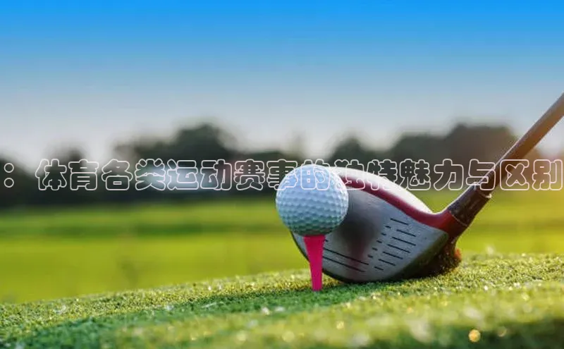 门徒娱乐平台登录入口