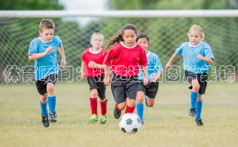 门徒平台注册中心