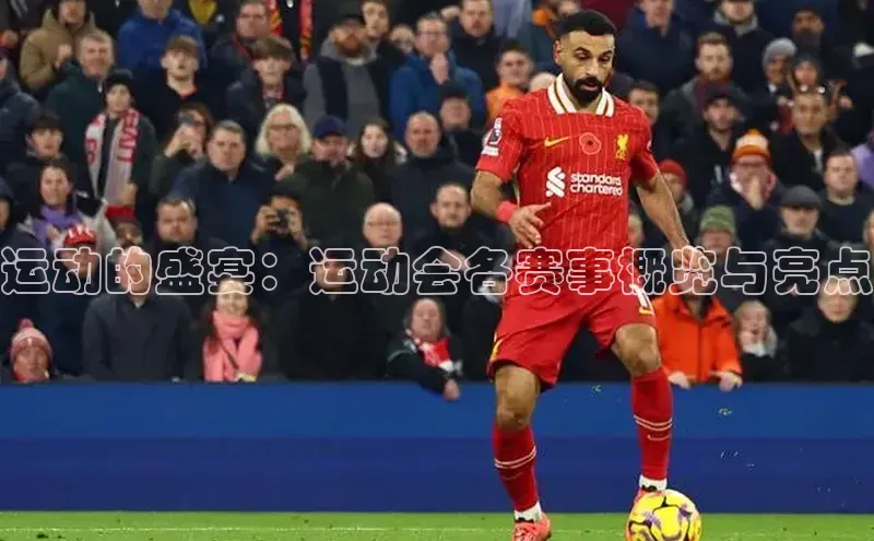 门徒娱乐在线登录