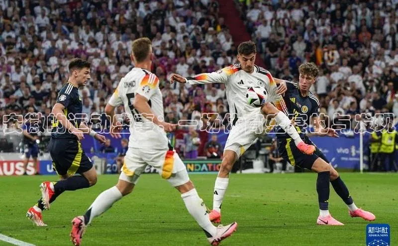 门徒娱乐在线登录