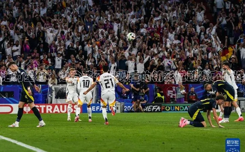 门徒娱乐平台登录入口