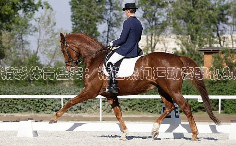门徒平台注册登录