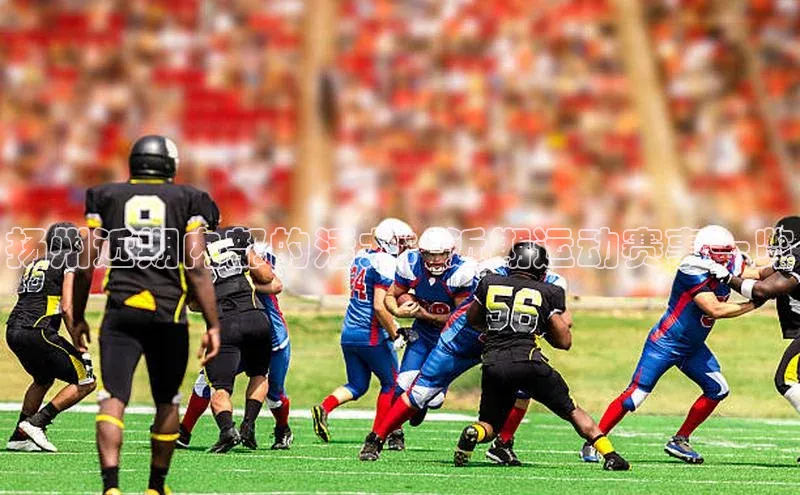 门徒平台登录地址